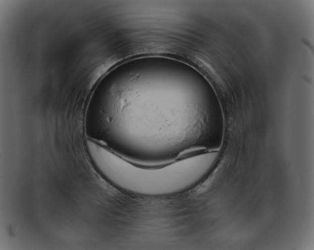 X0000093371081200710111432