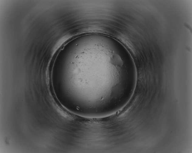 X0000093371082200710111432