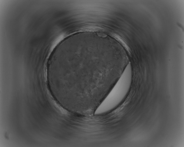 X0000093371083200710111432