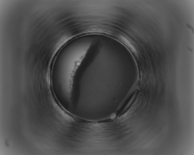 X0000093371084200710111432