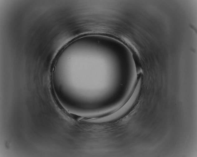 X0000093371085200710111432