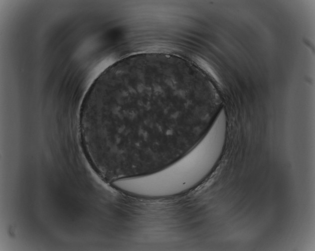 X0000093371087200710111432