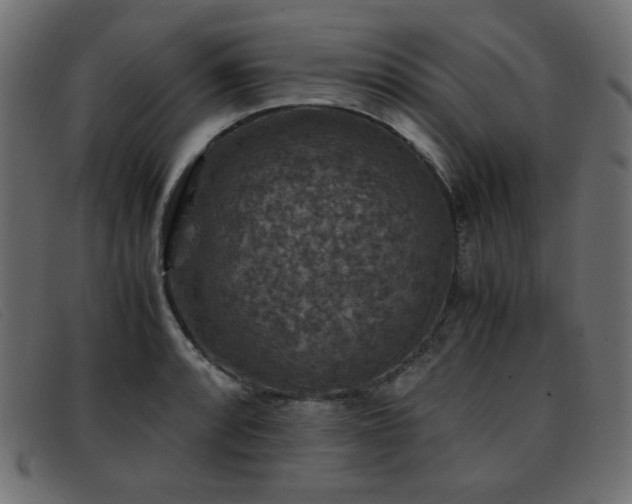 X0000093371088200710111432