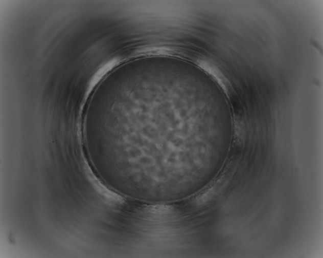 X0000093371090200710111432