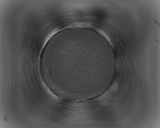 X0000093371091200710111432