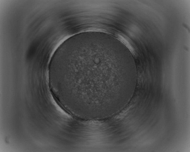 X0000093371092200710111432