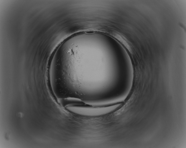 X0000093371093200710111432