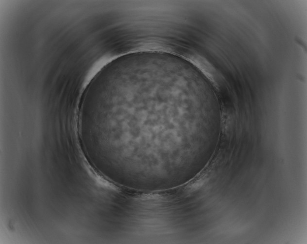 X0000093371094200710111432