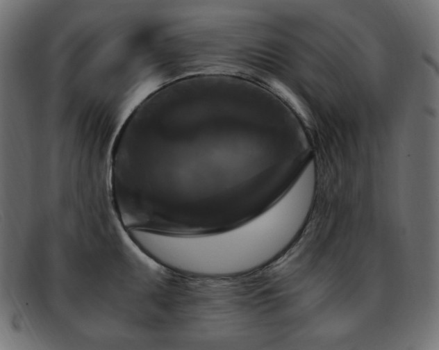 X0000093371095200710111432