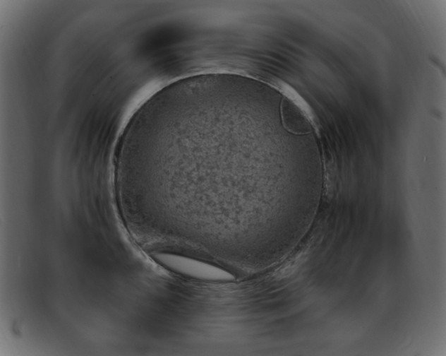 X0000093371096200710111432