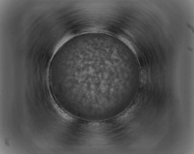 X0000093371098200710111432