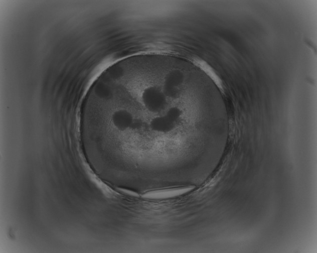 X0000093371099200710111432