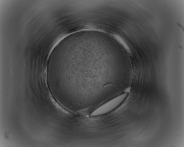 X0000093371100200710111432
