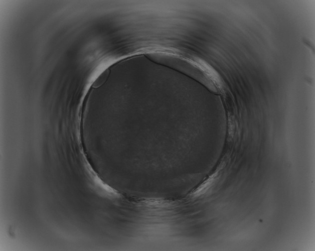 X0000093371102200710111432