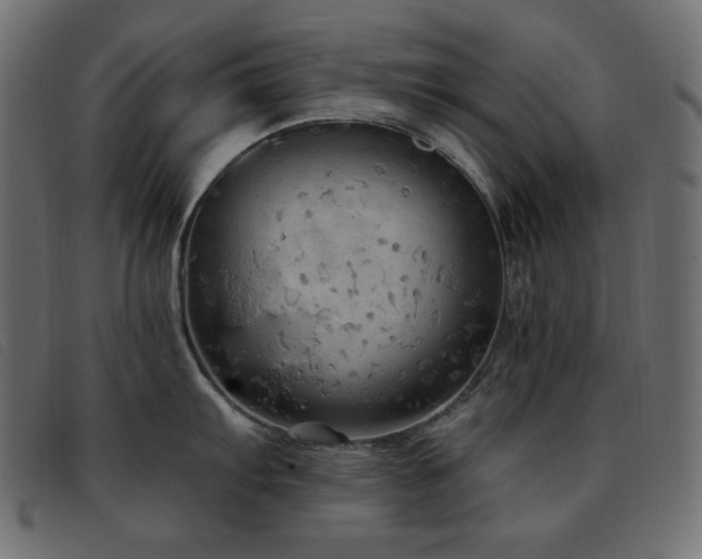 X0000093371103200710111432
