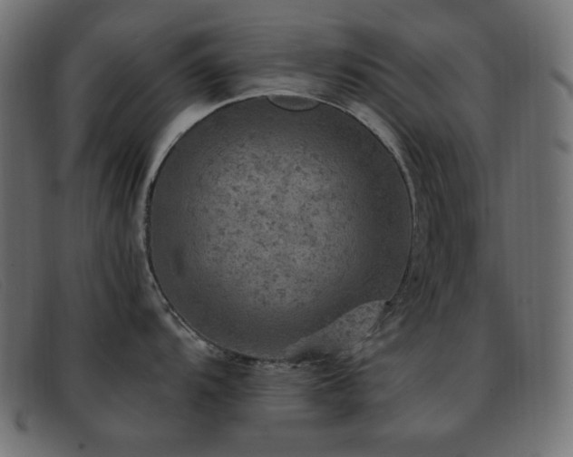 X0000093371104200710111432