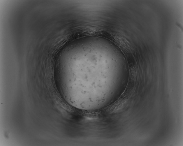 X0000093371105200710111431
