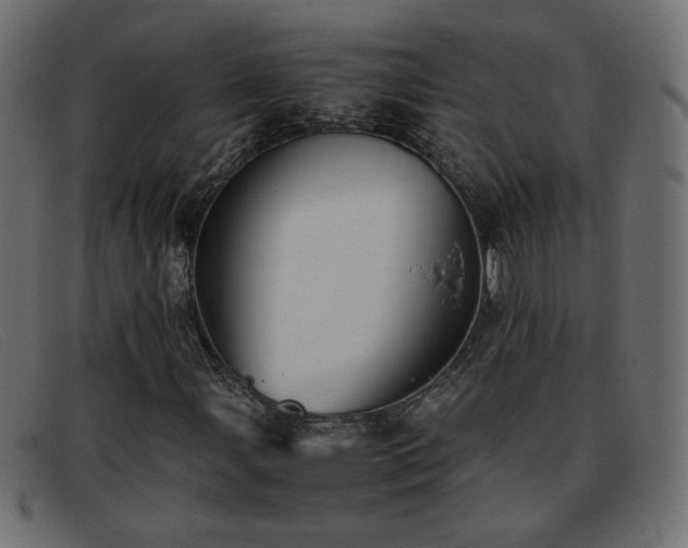 X0000093371107200710111431