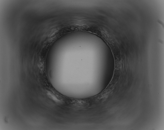 X0000093371109200710111431