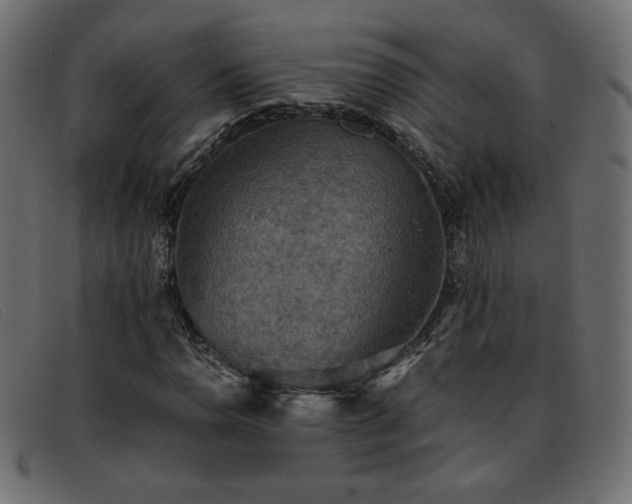 X0000093371110200710111431