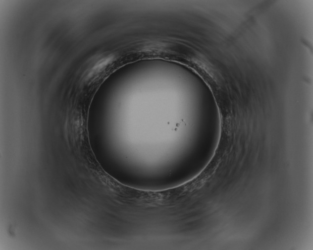 X0000093371111200710111431