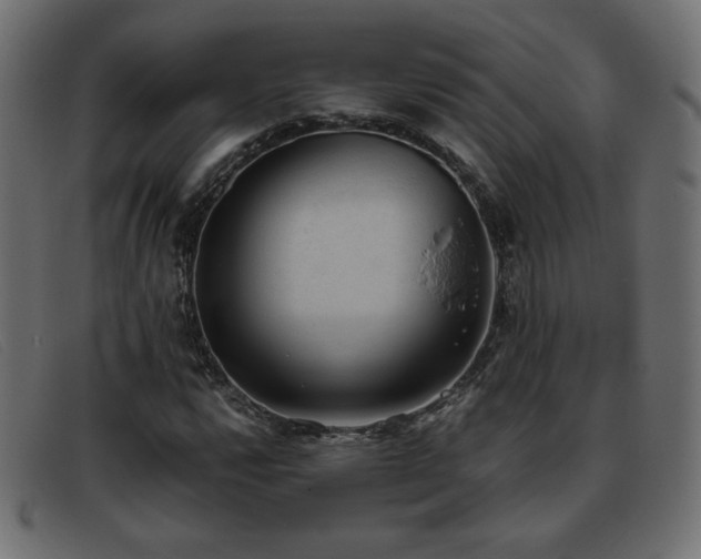 X0000093371112200710111431