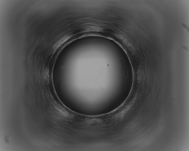 X0000093371113200710111431