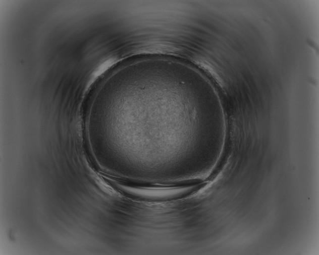 X0000093371114200710111431