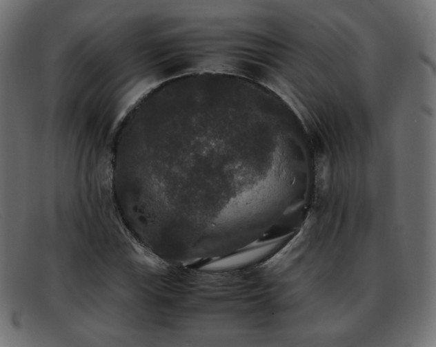 X0000093371115200710111431