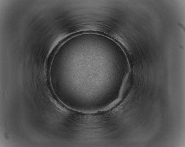 X0000093371116200710111431