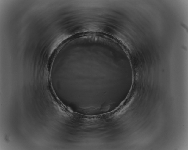 X0000093371117200710111431