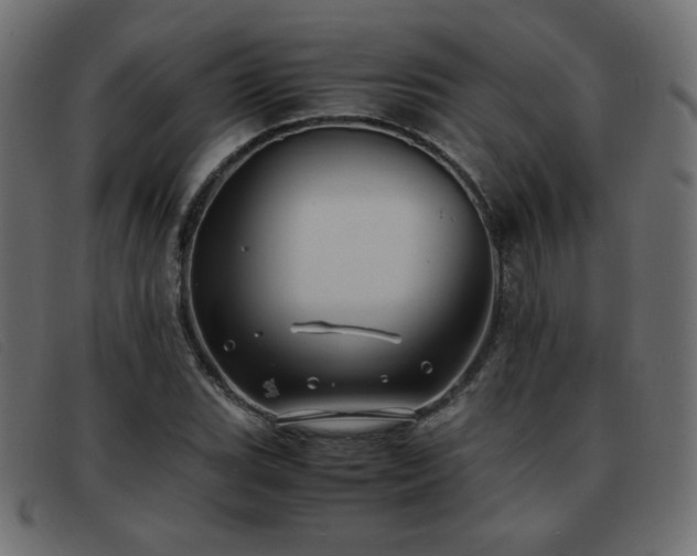 X0000093371119200710111431