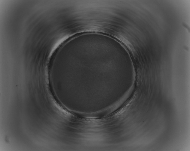X0000093371120200710111431