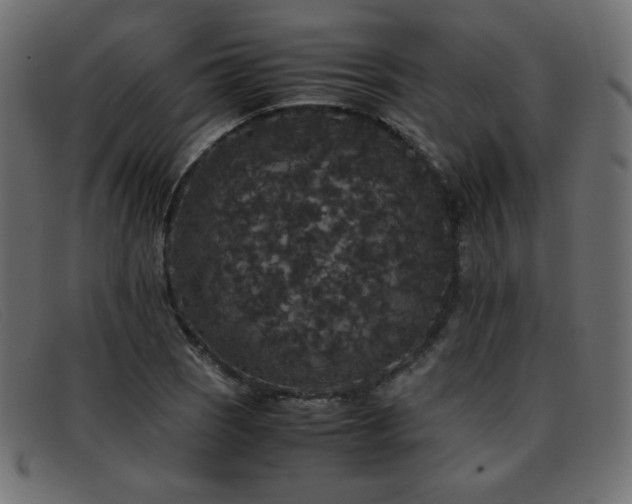 X0000093371121200710111431