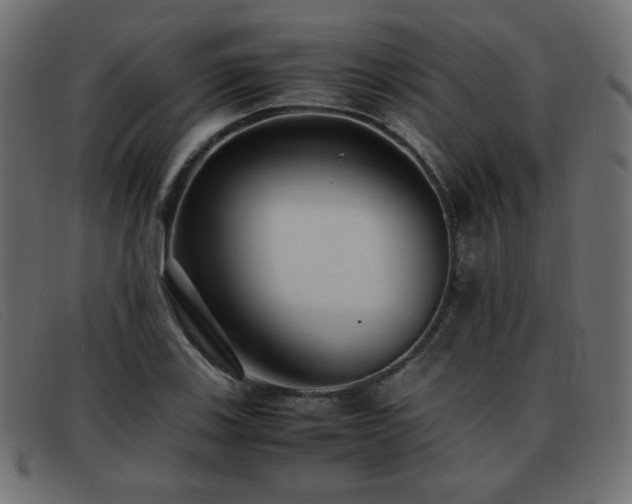 X0000093371123200710111431