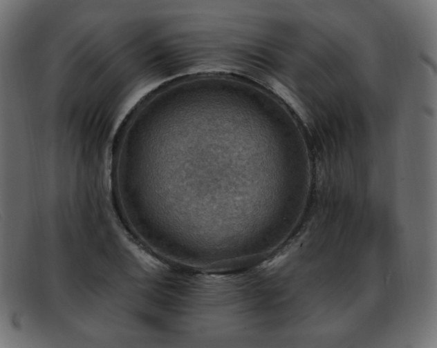 X0000093371124200710111431