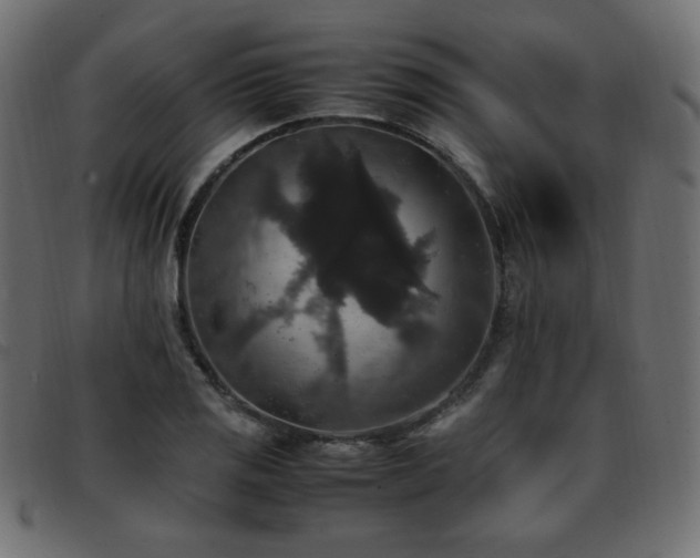 X0000093371125200710111431