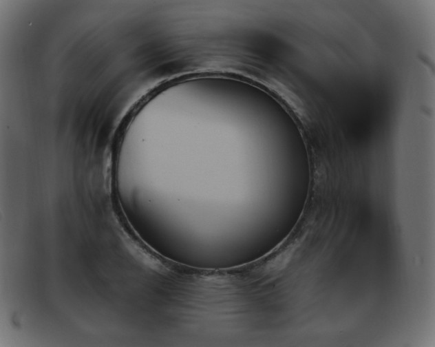 X0000093371126200710111431