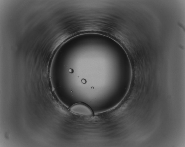 X0000093371129200710111431