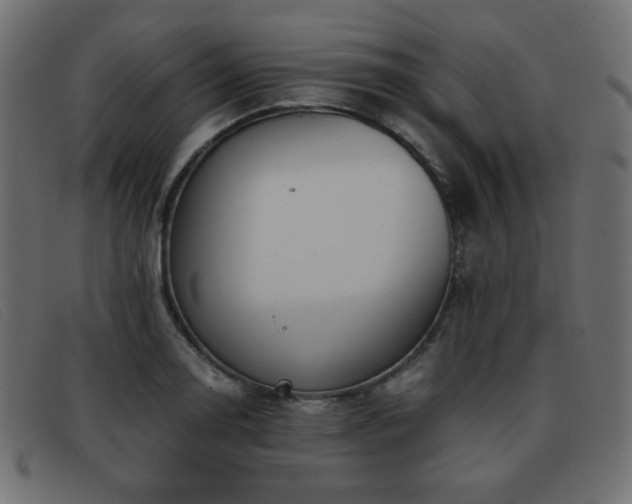 X0000093371130200710111431