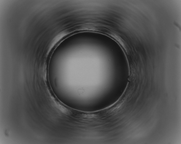 X0000093371131200710111431