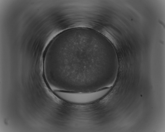 X0000093371132200710111431