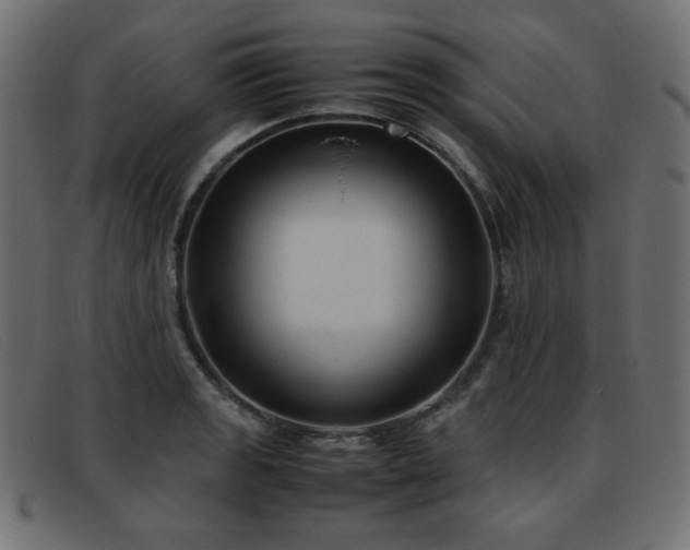 X0000093371133200710111431