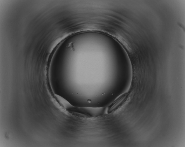 X0000093371134200710111431