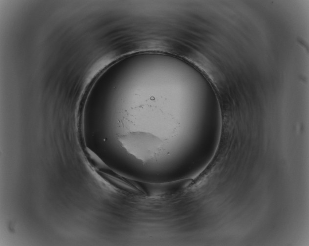 X0000093371135200710111432