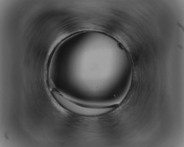 X0000093371136200710111432