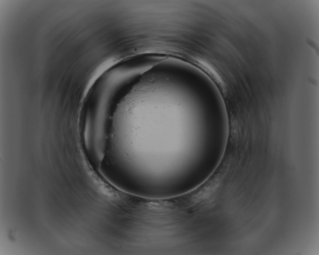 X0000093371138200710111432