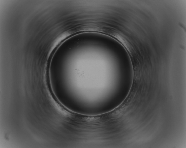 X0000093371139200710111432