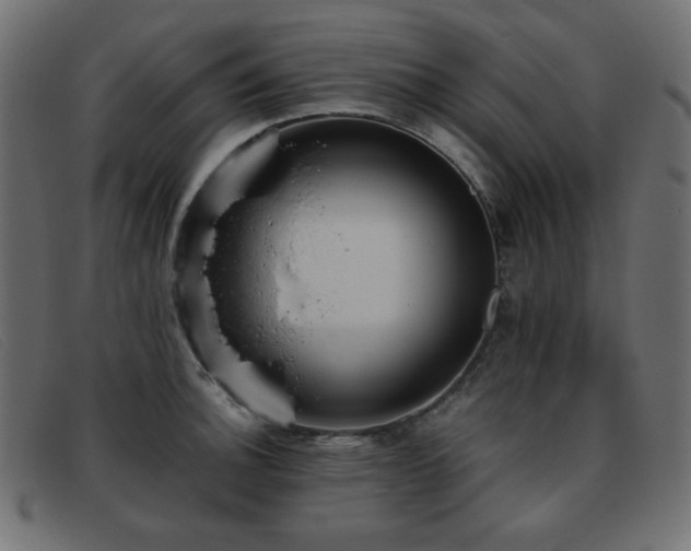 X0000093371140200710111432