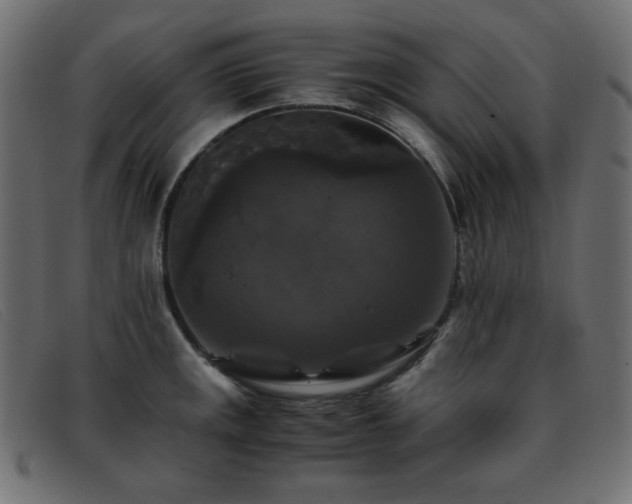 X0000093371141200710111432